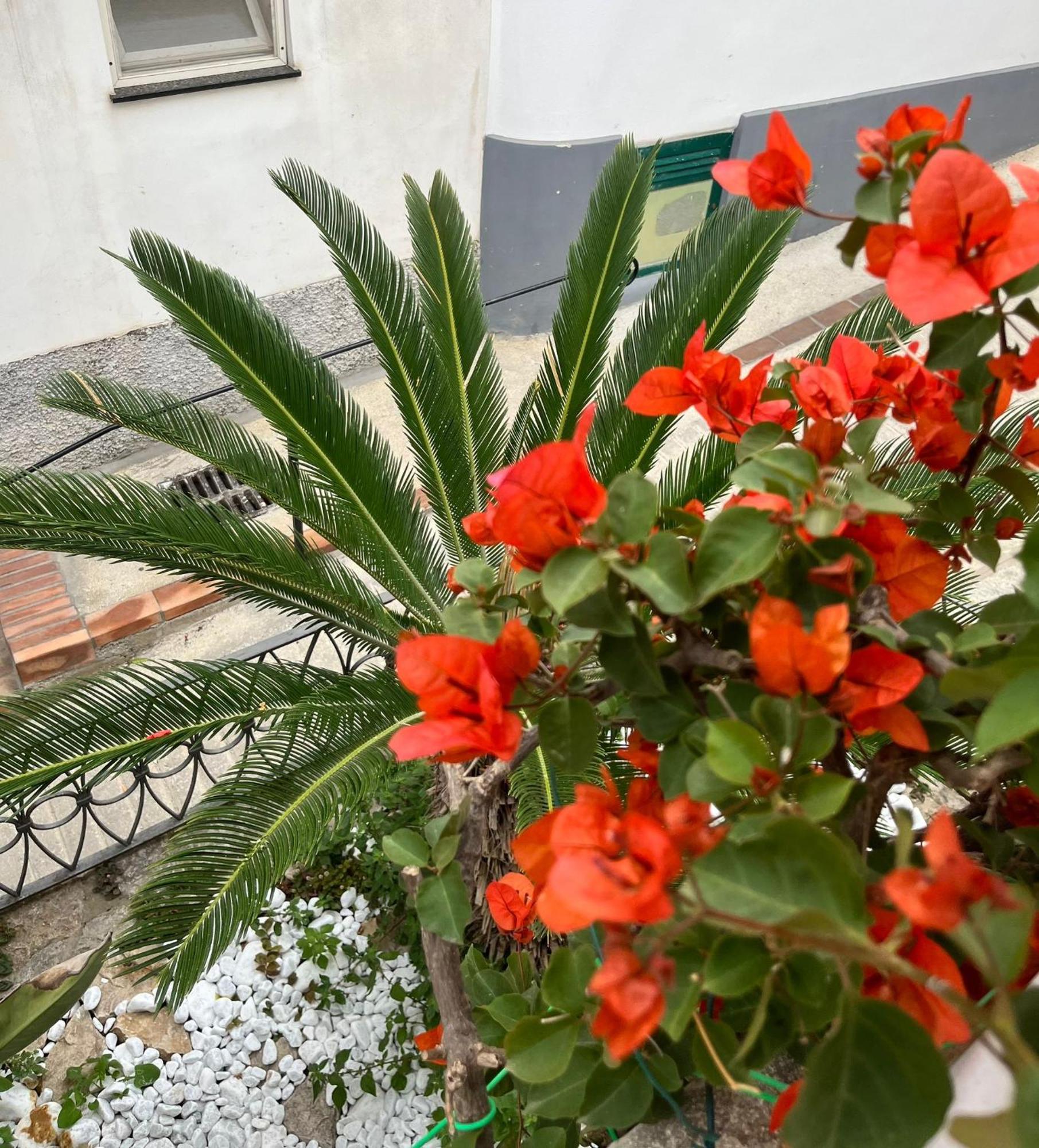 Alle Stelle B&B Anacapri  Eksteriør bilde